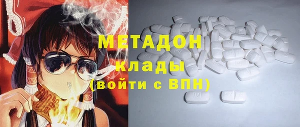 индика Аркадак
