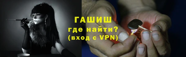 индика Аркадак