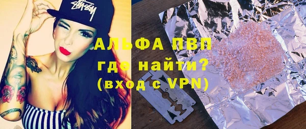 индика Аркадак