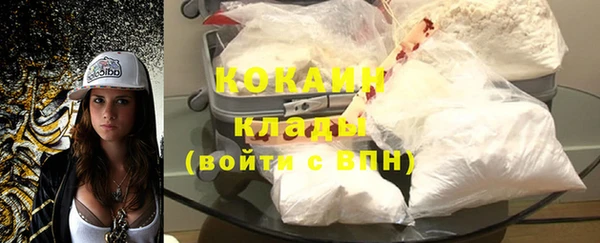 индика Аркадак