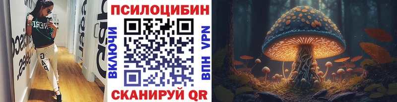 Псилоцибиновые грибы мицелий магазин наркотиков Каспийск