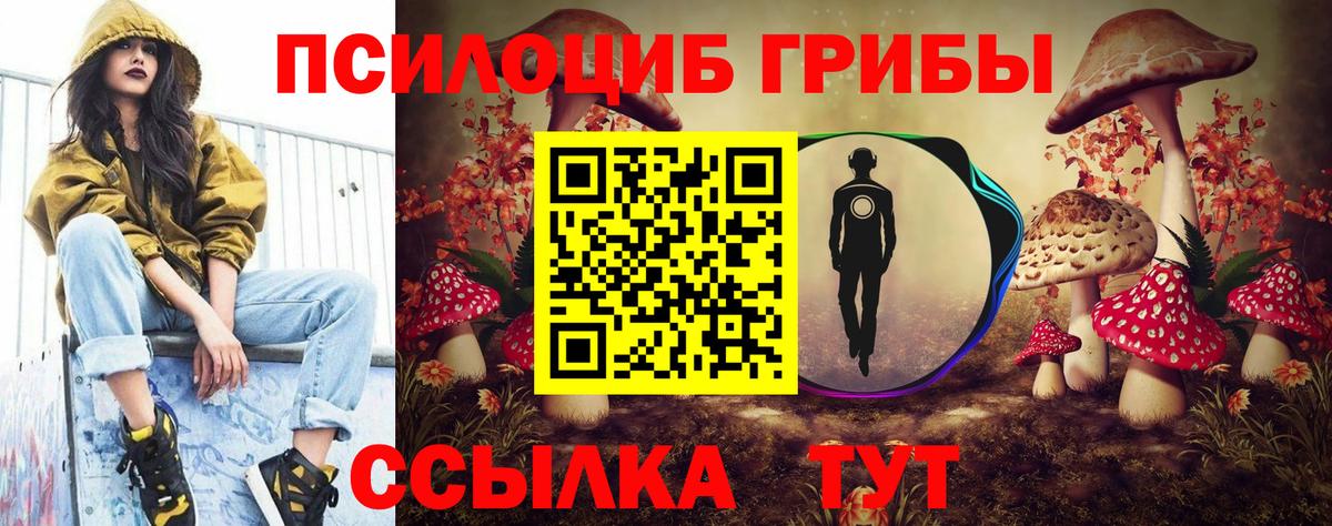 Псилоцибиновые грибы Psilocybe Каспийск