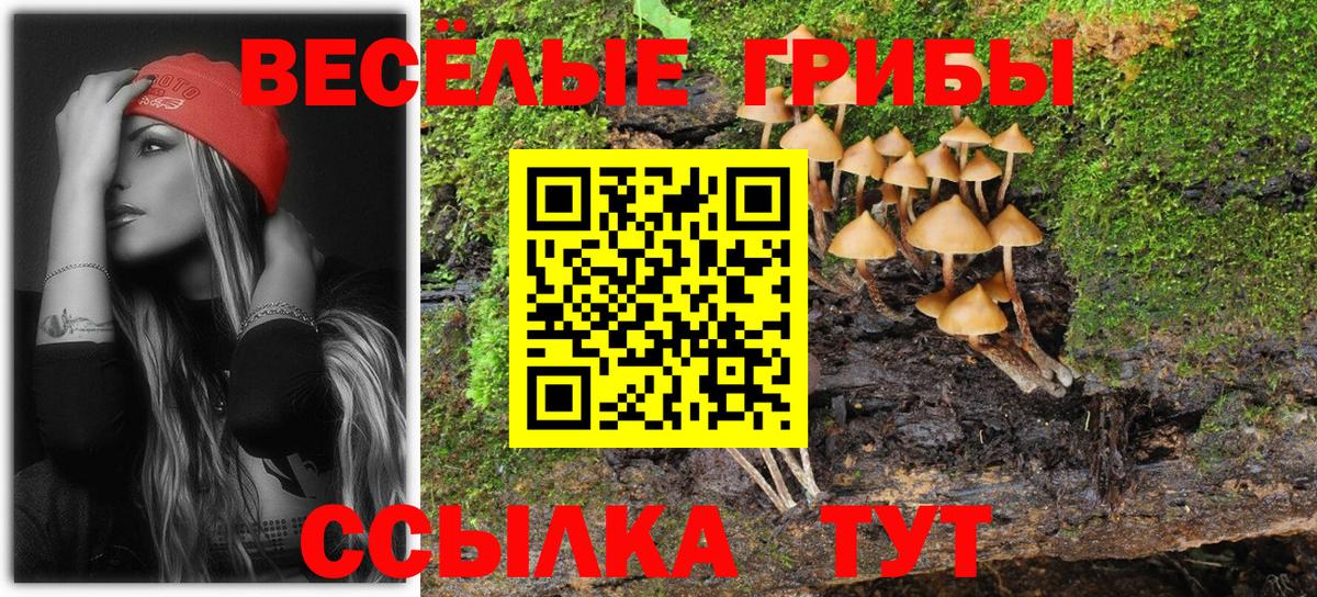 Псилоцибиновые грибы мицелий  Галлюциногенные грибы Cubensis  Вход с VPN  Каспийск 